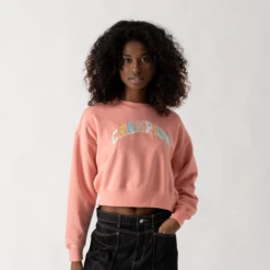 CHAMPION SWEAT CROPPED COLLEGE OF COLORS
