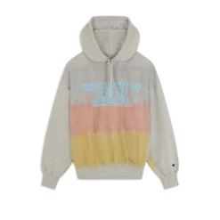 CHAMPION HOODIE UNIVERSITY OF CAROLINA -Mode Soldes 001496951 105