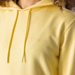 CHAMPION HOODIE AMERICAN CLASSICS -Mode Soldes 001496956 104