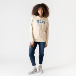 LEVIS HOODIE GRAPHIC STANDARD -Mode Soldes 001499717 103