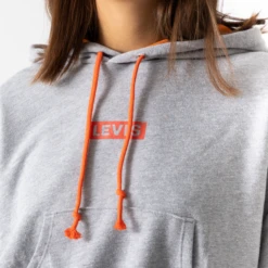 LEVIS HOODIE GRAPHIC LAUNDRY -Mode Soldes 001504276 104