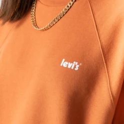 LEVIS SWEAT CREW RAGLAN LAUNDRY DAY -Mode Soldes 001504279 104