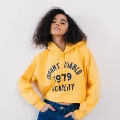 LEVIS HOODIE CROPPED 90S GOLD TAB