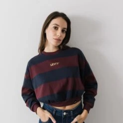 LEVIS SWEAT CREW STRIPES GRAPHIC