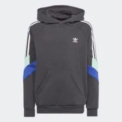 ADIDAS ORIGINALS SWEAT-SHIRT À CAPUCHE ADIDAS REKIVE
