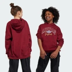 ADIDAS ORIGINALS SWEAT-SHIRT À CAPUCHE COLLEGIATE GRAPHIC PACK 7 ADIDAS ORIGINALS SWEAT-SHIRT À CAPUCHE COLLEGIATE GRAPHIC PACK -Mode Soldes 6217813 645a19b7a943c